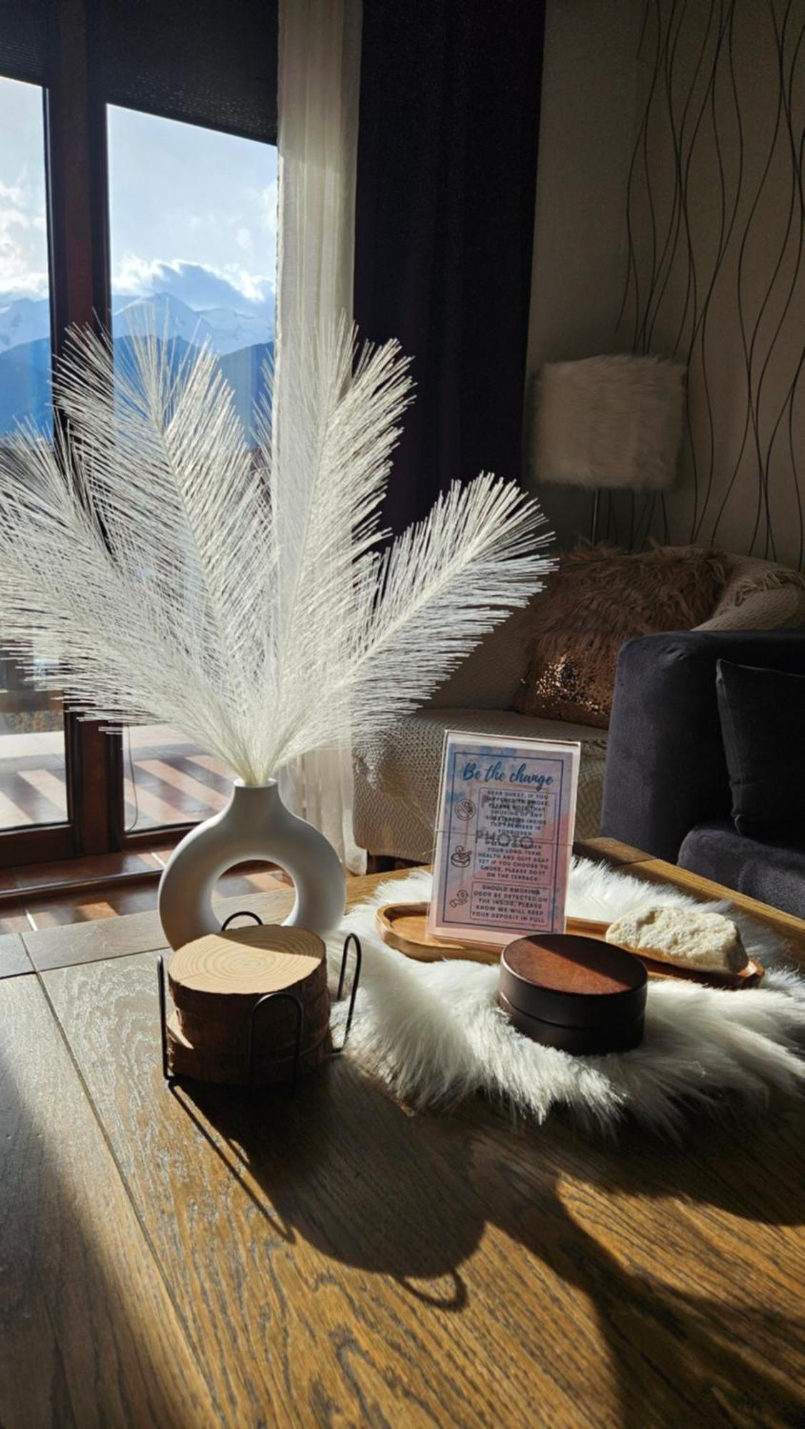 Prespa Penthouse Bansko